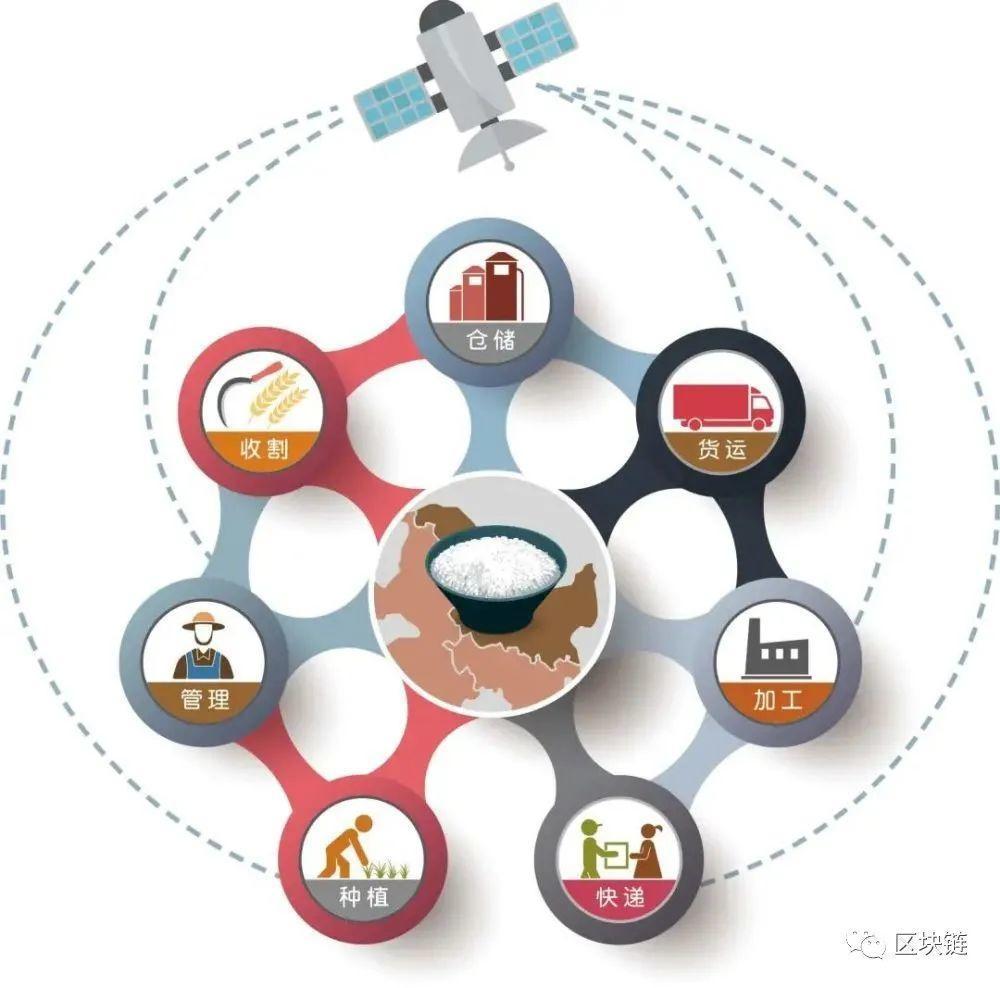 区块链防伪(区块链防伪码)