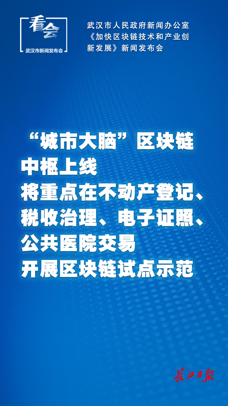 武汉区块链(武汉市区块链协会)