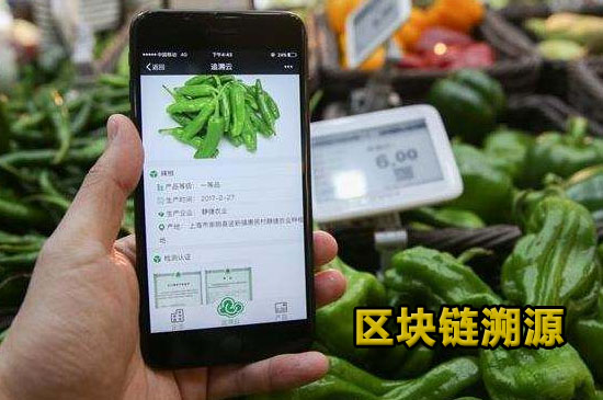 食品区块链(食品区块链发展前景)