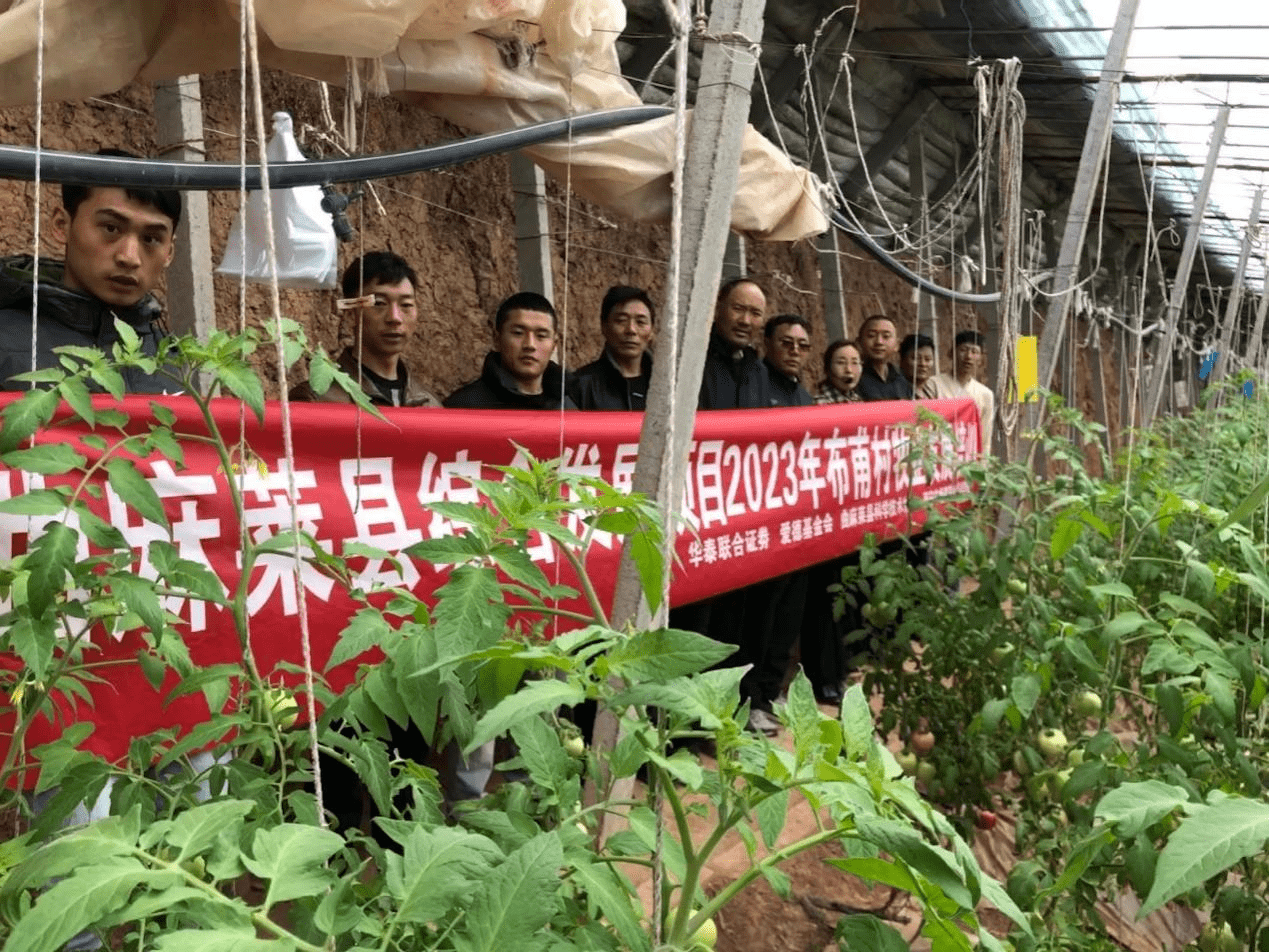 联合证券下载(华泰联合证券官网软件下载)